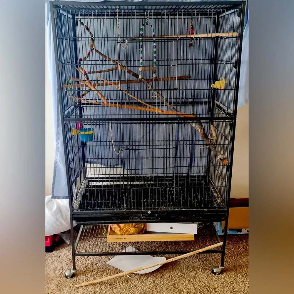 Bird Cage and Toys